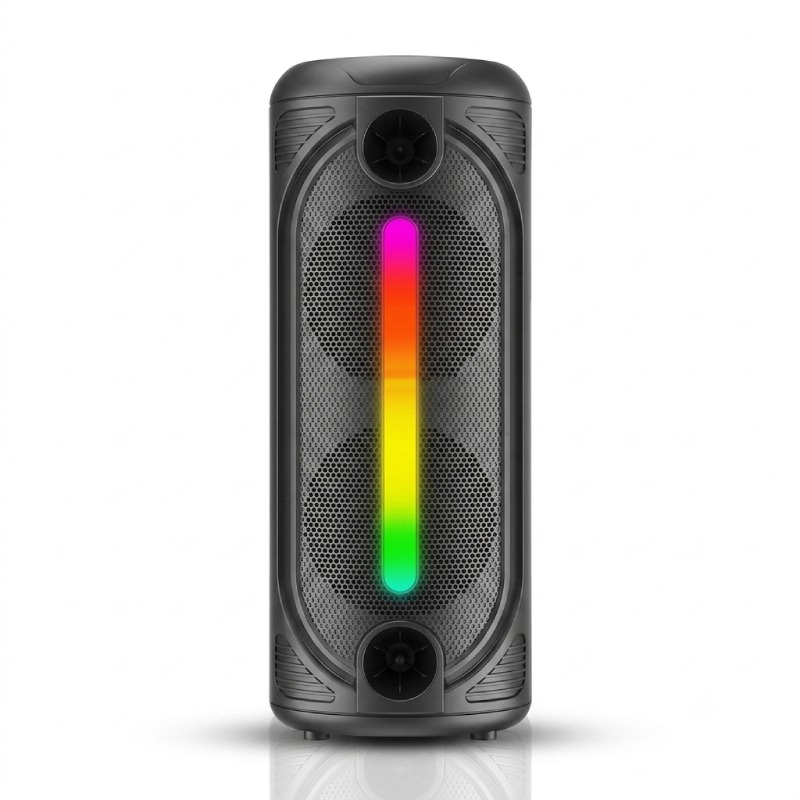 Haut parleur Bluetooth QL-8306 Avec Double Micros Sans Fil et Télécommande - Image 2