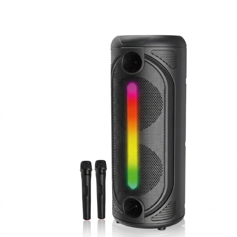 Haut parleur Bluetooth QL-8306  Avec Double Micros Sans Fil et Télécommande 
