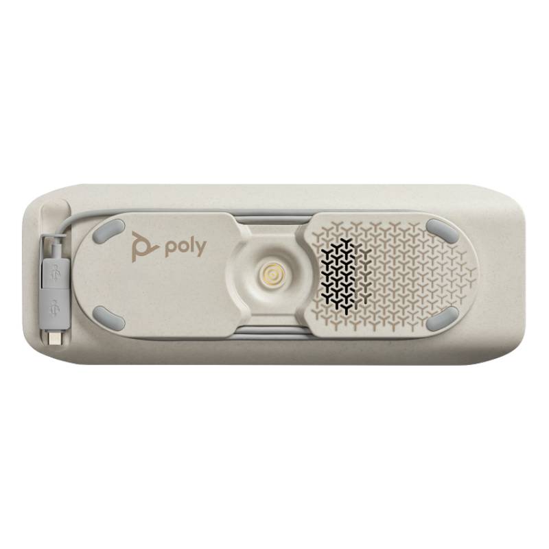 Haut-parleur Intelligent Poly Sync 40+ - Argent - Image 3