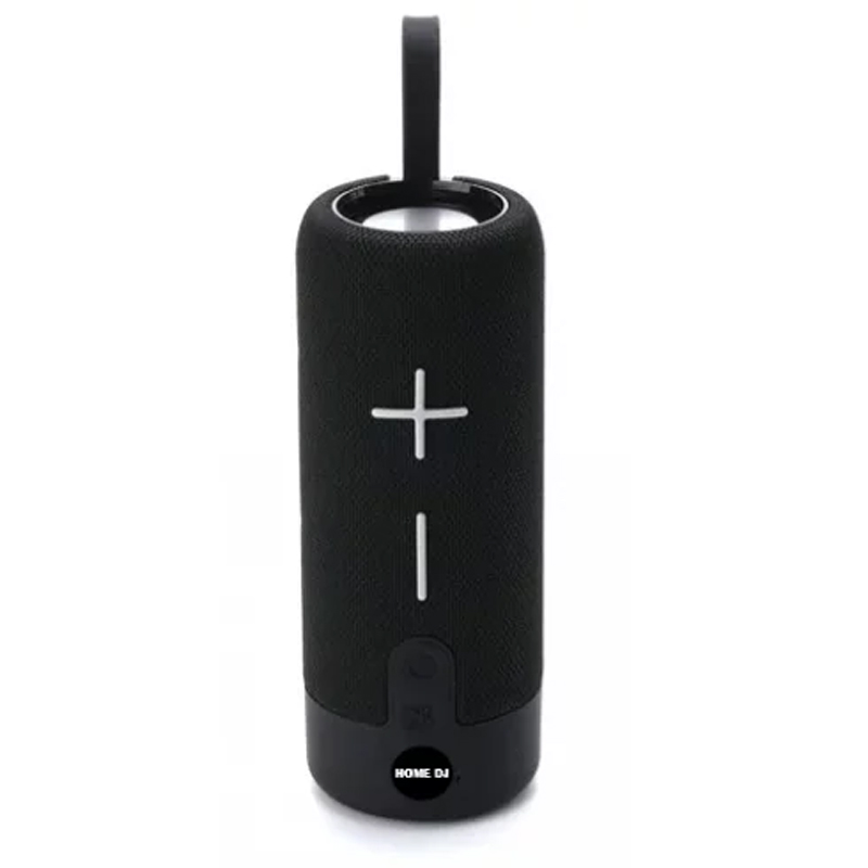 Haut Parleur Sans Fil HOME DJ TG312- Noir