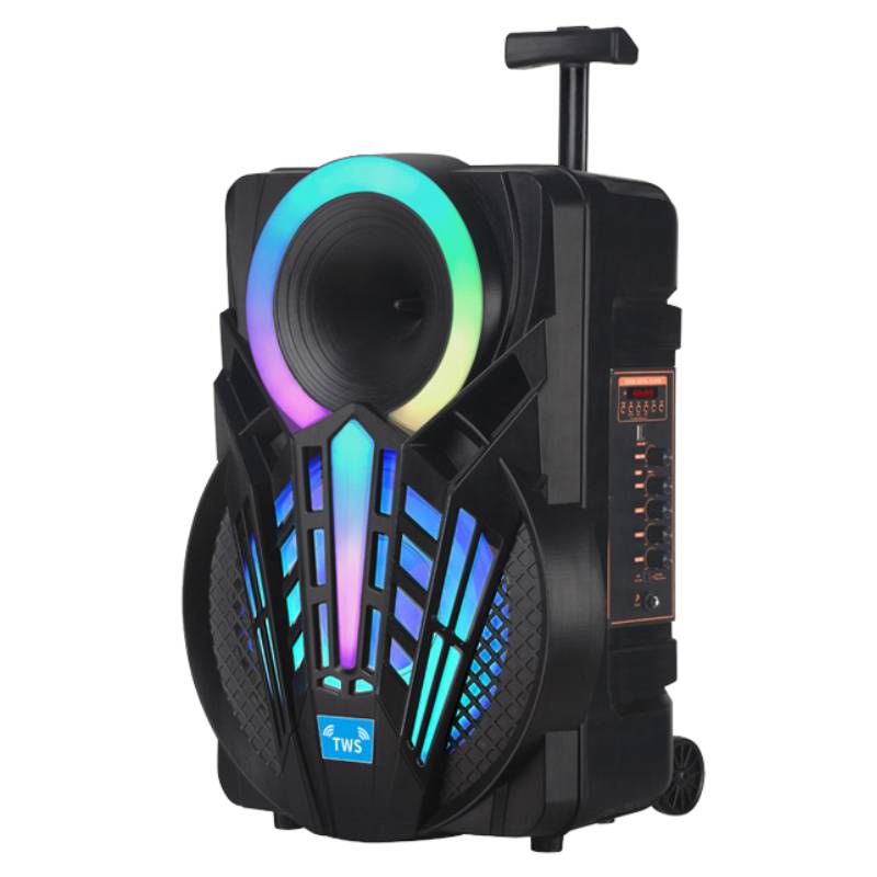 Haut parleur Sans fil NDR P15 bluetooth - Noir