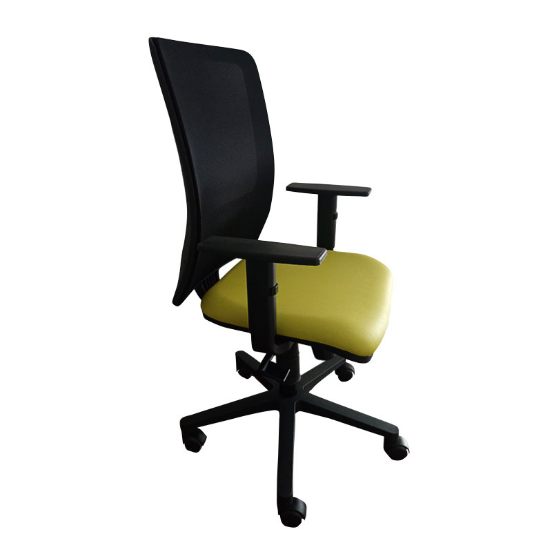 Fauteuil Opérationnel DUKE En Simili Cuir Avec Accoudoirs Réglable - Vert Pistache - Image 2