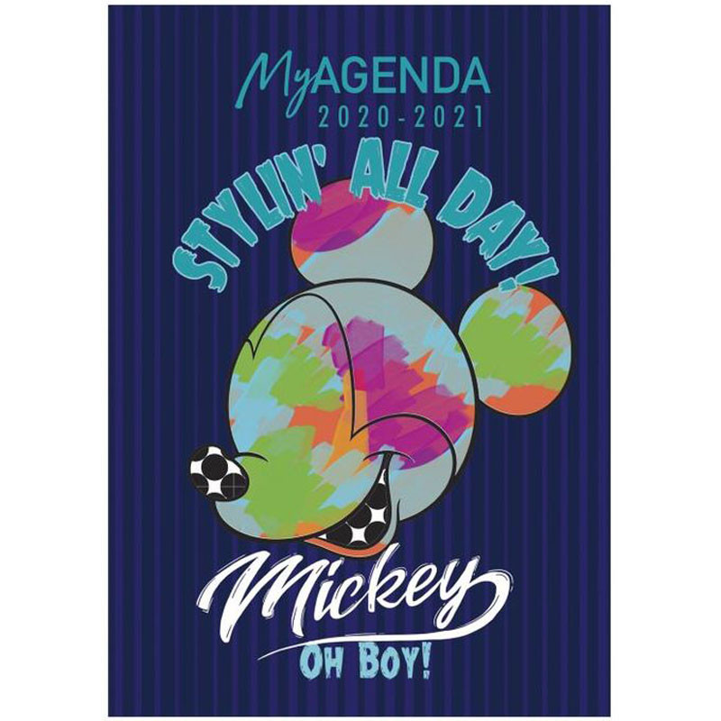 Agendas Scolaires YAMAMA 12X17 Flexicover Disney 2020-2021 - Image 4