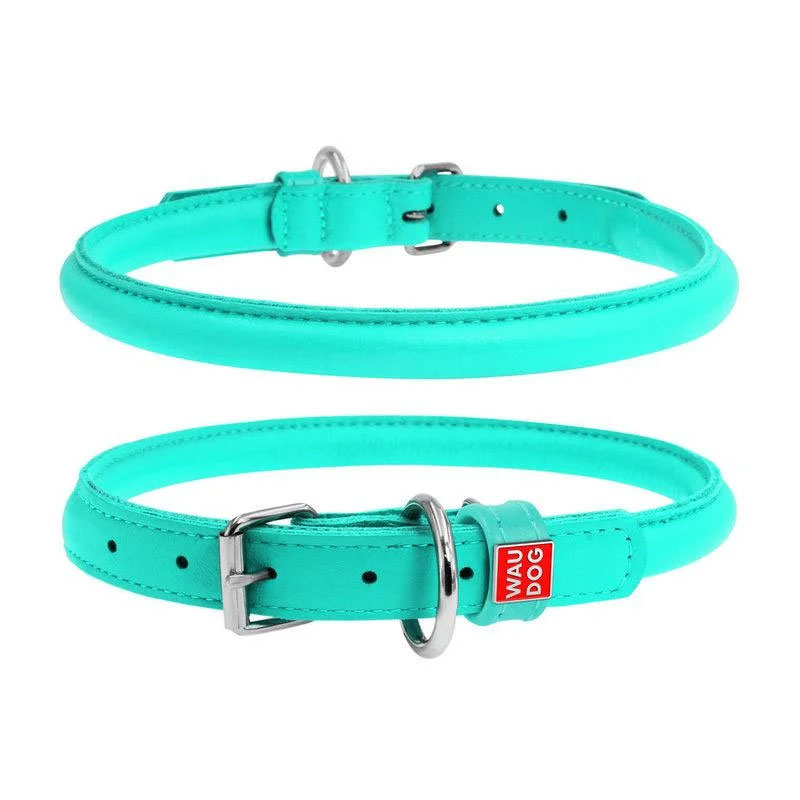 Collier rond WAUDOG Glamour S 33-41cm Cuir - Menthe
