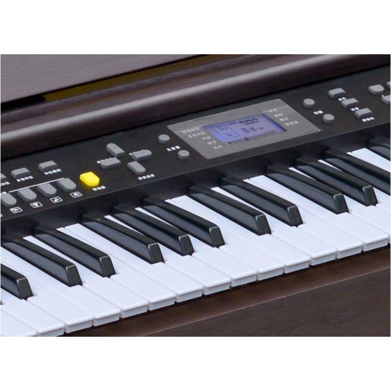 Orgue Numérique MLS-9919 Avec Écran LCD - Noir - Image 2