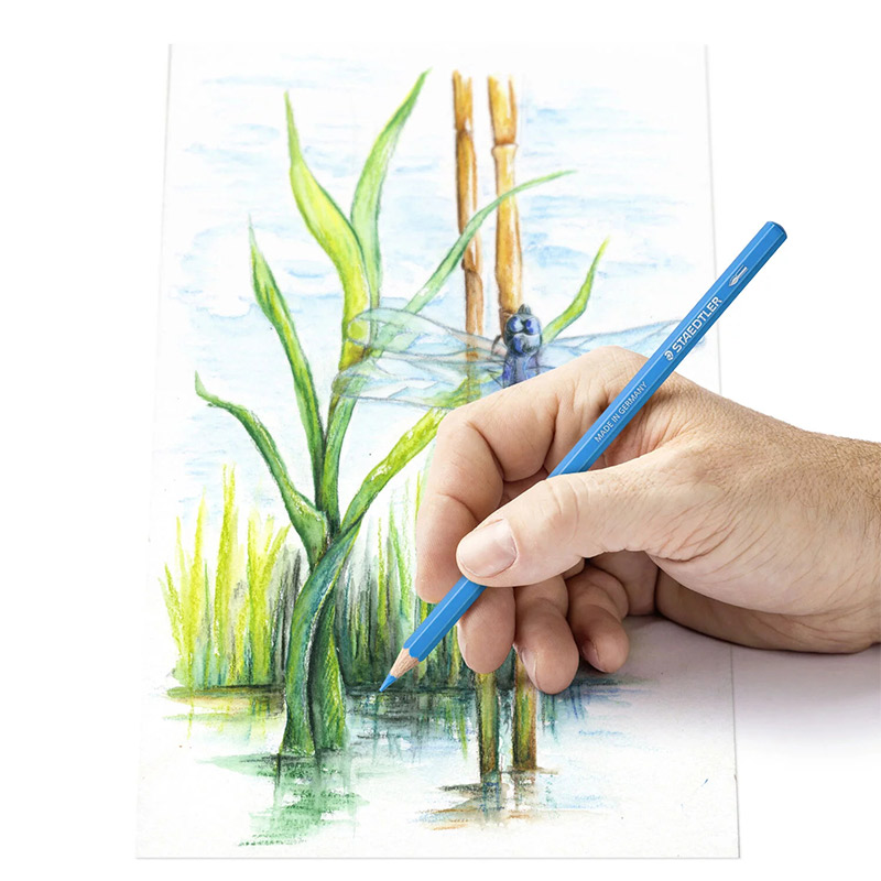 Pack de 12 Crayons aquarellables de couleurs STAEDTLER Design Journey - Image 3