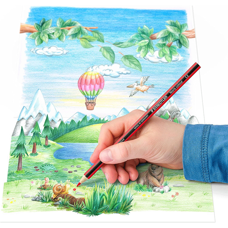 Pack de 24 Crayons STAEDTLER Noris 185 couleur   - Image 4