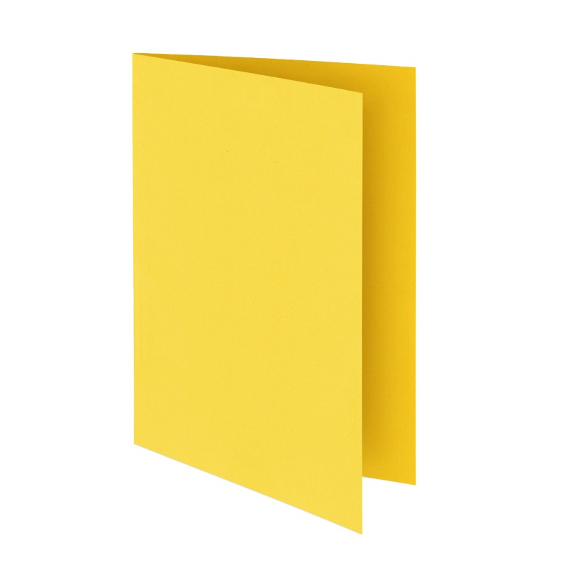 Paquet De 100 Chemises Bristol RIBAT VIVES 160G 24*32 - Citron 