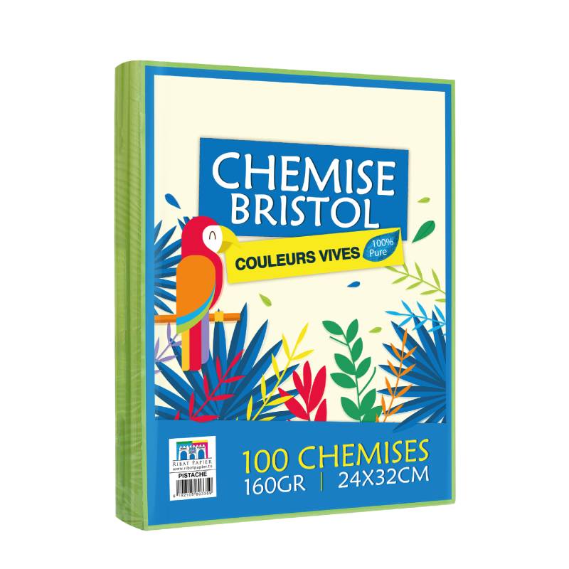 Paquet de 100 Chemises RIBAT Bristol Vives 160G 24*32 - Pistache