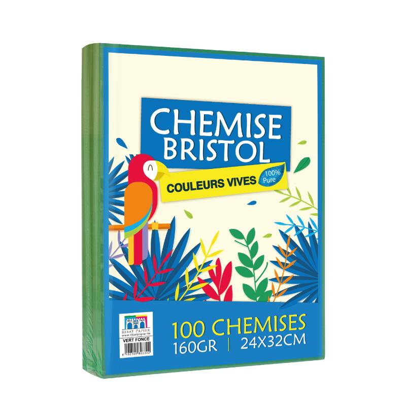 Paquet de 100 Chemises RIBAT Bristol Vives 160G 24*32 - Vert foncé