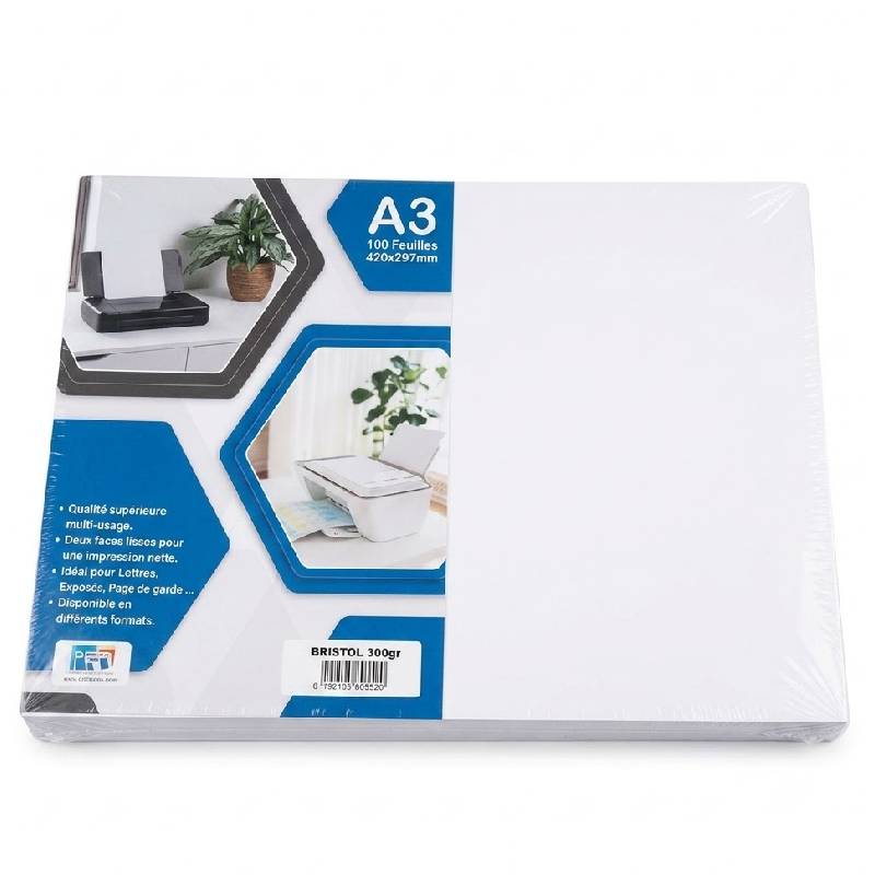 Paquet de 100 Feuilles RIBAT Couché Brillant A3 250G