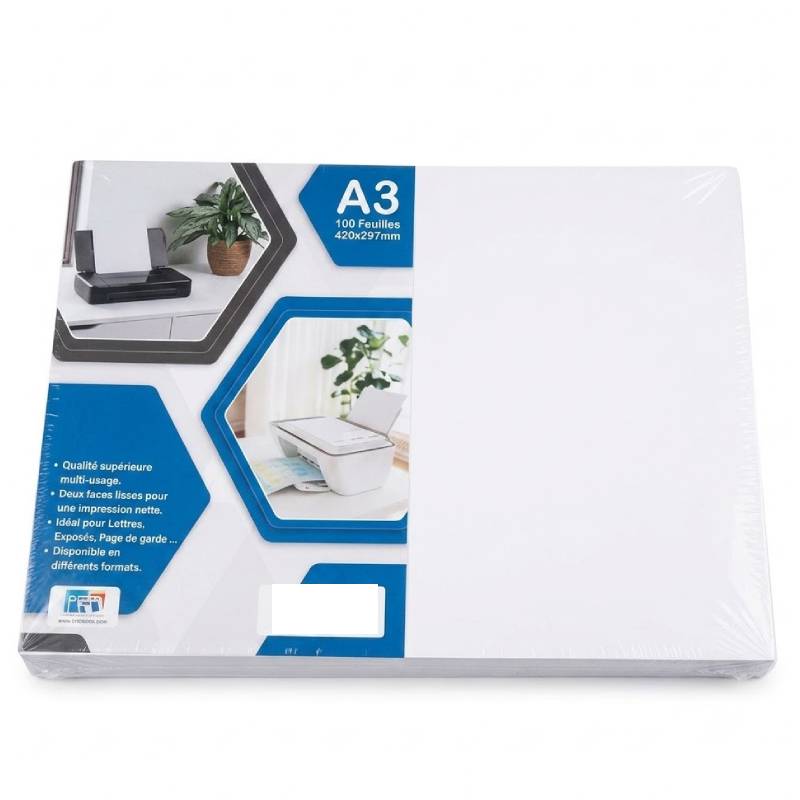 Paquet de 100 Feuilles RIBAT Couché Mat A3 170G