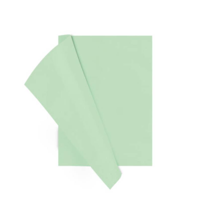 Paquet de 200 Sous Chemises RIBAT 60 G 22 x 32 Cm - Vert - Image 2