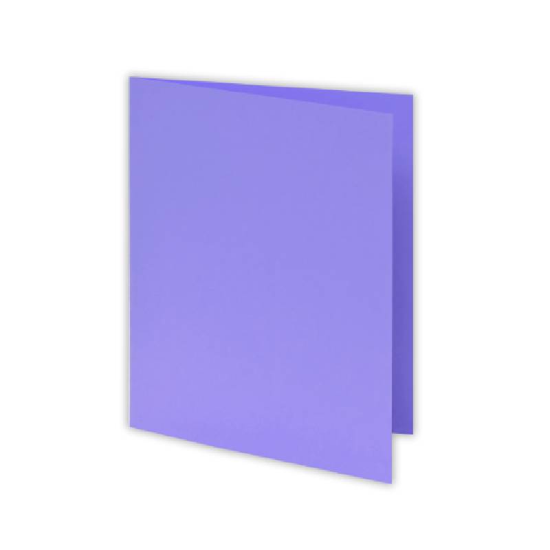 Paquet de 50 Chemises RIBAT Bristol Vives 160 G 24 x 32 Cm - Violet