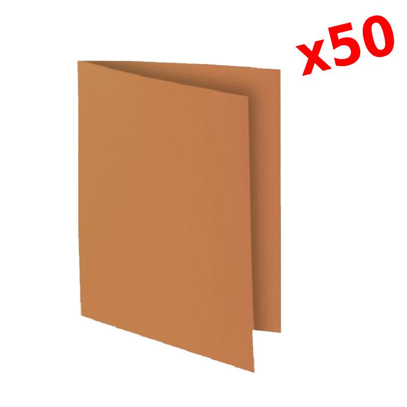Paquet de 50 Chemises RIBAT Bristol Vives 160G 24*32 - Marron