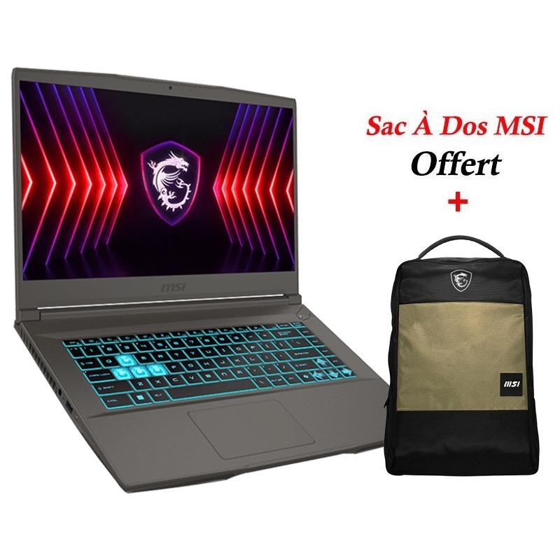 PC Portable Gamer MSI Thin 15 B13UCX i5 13è Gén 24Go RTX 2050
