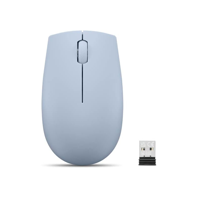 Souris Optique Sans Fil LENOVO Compact 300 - Gris arctique