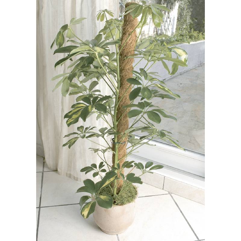 Support Tuteur Pour Plantes NORTENE Coco 120 cm - Image 3