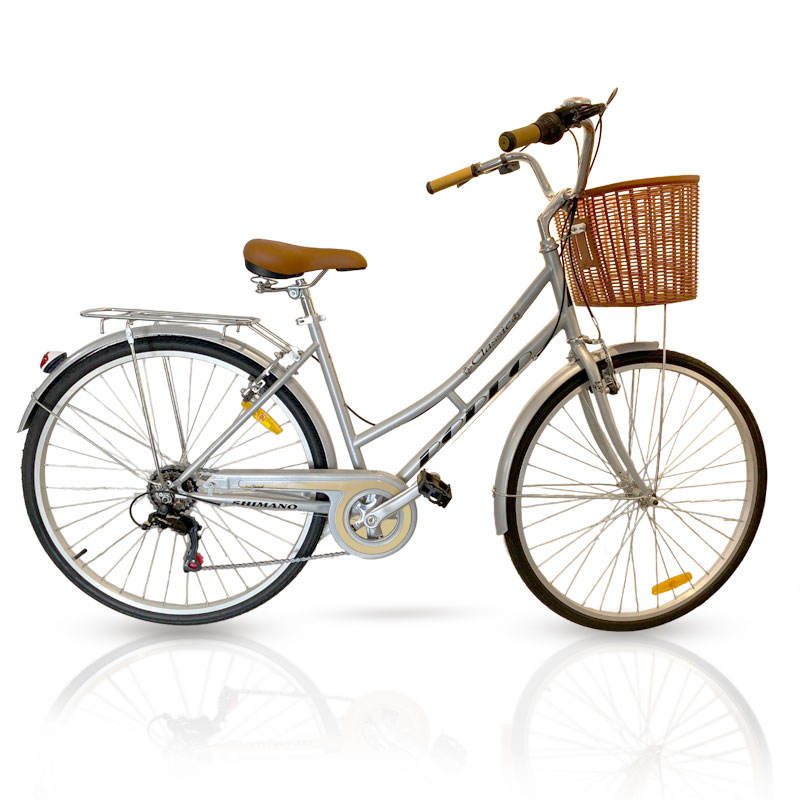 Vélo de Ville RODEO 6026-C6VS Avec Panier Avant - Gris