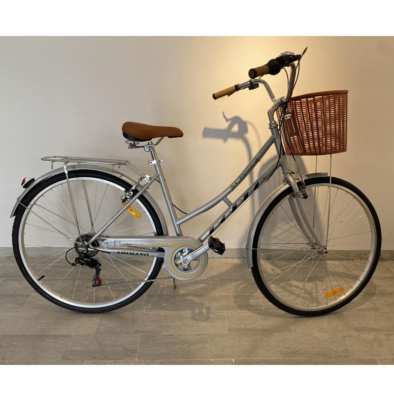 Vélo de Ville RODEO 6026-C6VS Avec Panier Avant - Gris - Image 2